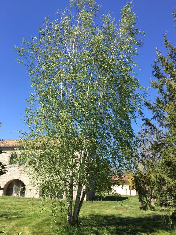 Agriturismo Le Due Arcate Villa San Massimo  Eksteriør bilde