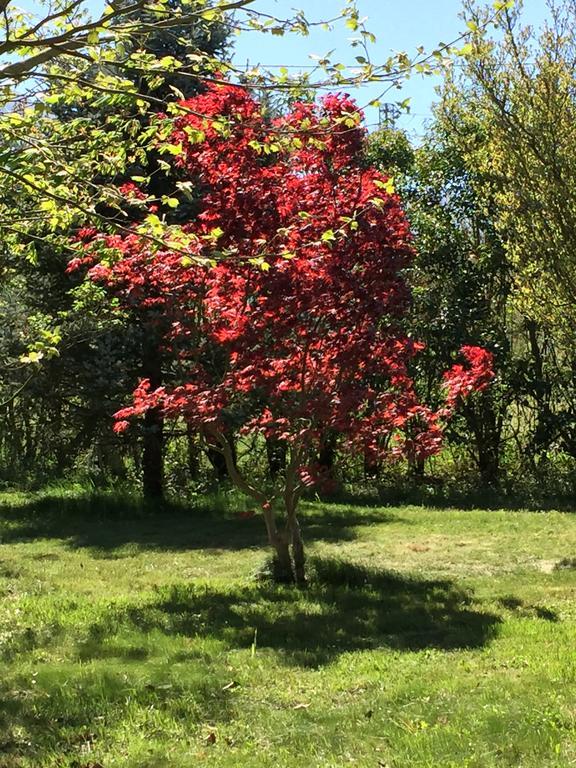 Agriturismo Le Due Arcate Villa San Massimo  Eksteriør bilde